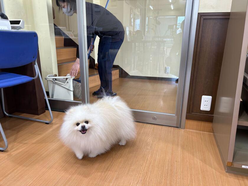 福岡動物医療センター 春日院の制服7
