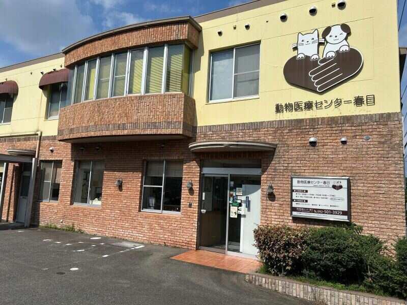 福岡動物医療センター 春日院の仕事画像1