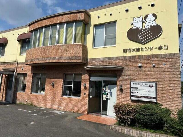 【受付会計/春日】病院受付スタッフ募集※動物看護師経験者のみ(医療・介護・福祉、春日市)のイメージ画像
