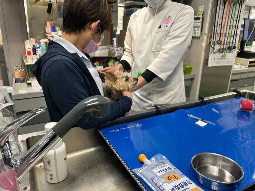 福岡動物医療センター 竹下院の制服3