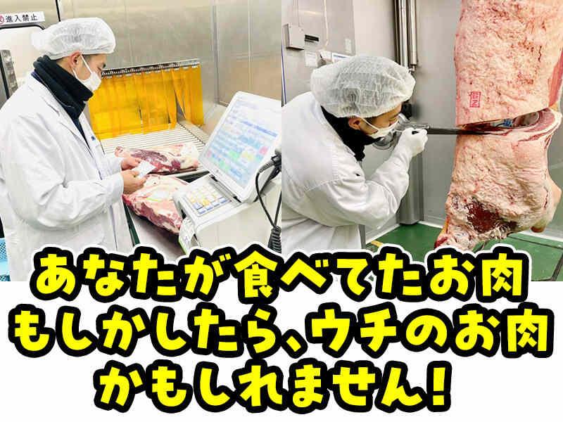 株式会社野本の仕事画像3