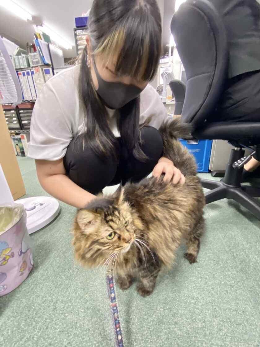 株式会社アビーコム(愛ペットグループ)の制服3