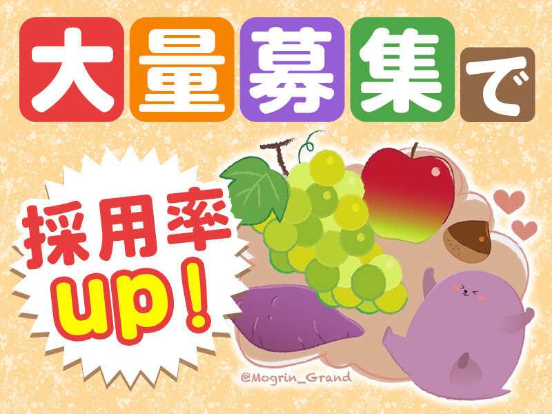 株式会社グランドの仕事画像1