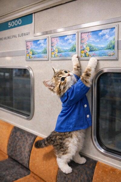 日興美装工業株式会社の仕事画像3