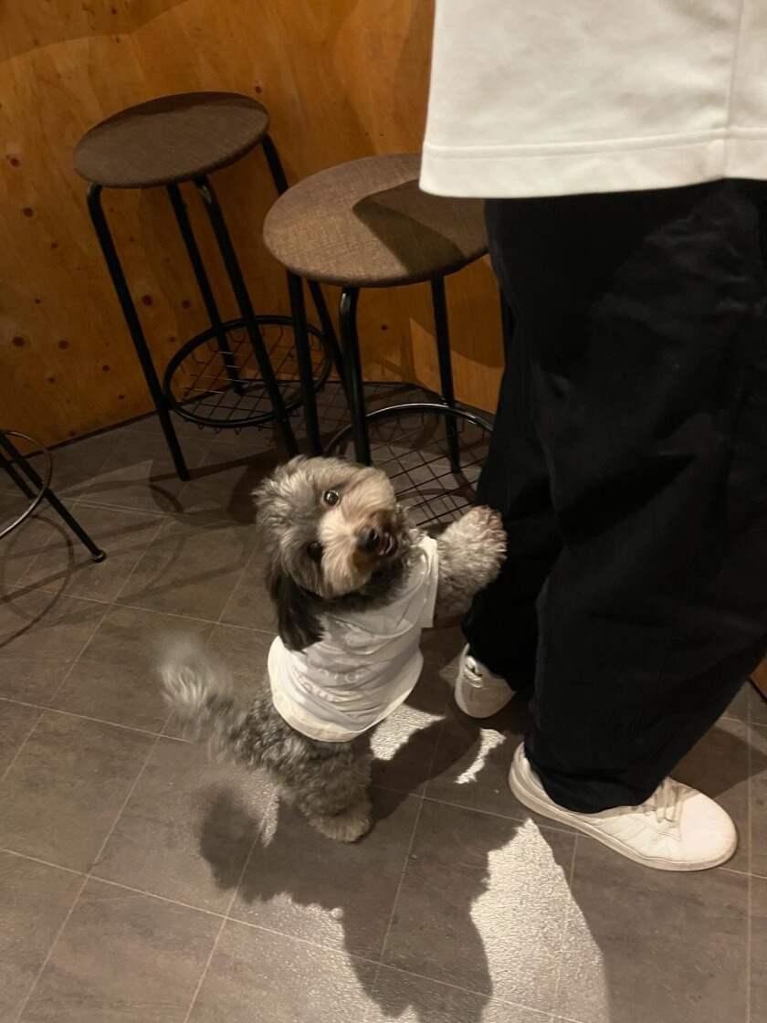 麺屋 わがもん【24時間チャットで面接予約可能】の制服6