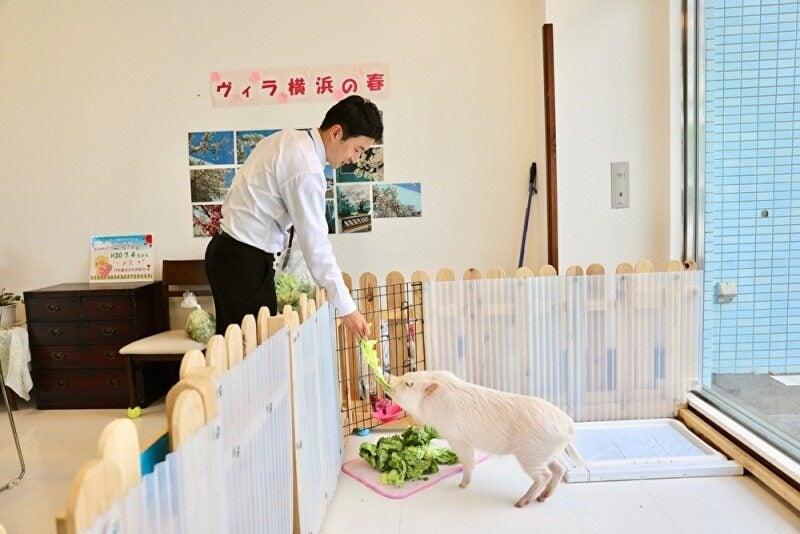 介護老人福祉施設 ヴィラ横浜の仕事画像2