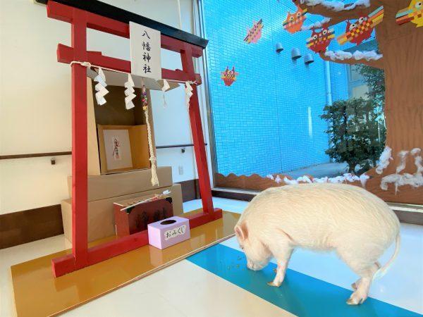 介護老人福祉施設 ヴィラ横浜の仕事画像3