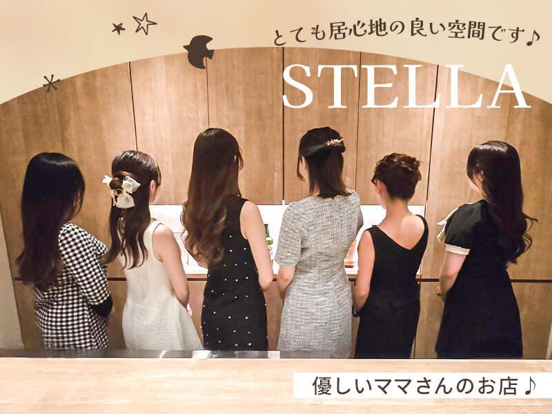 スナック STELLA(ステラ)の仕事画像1