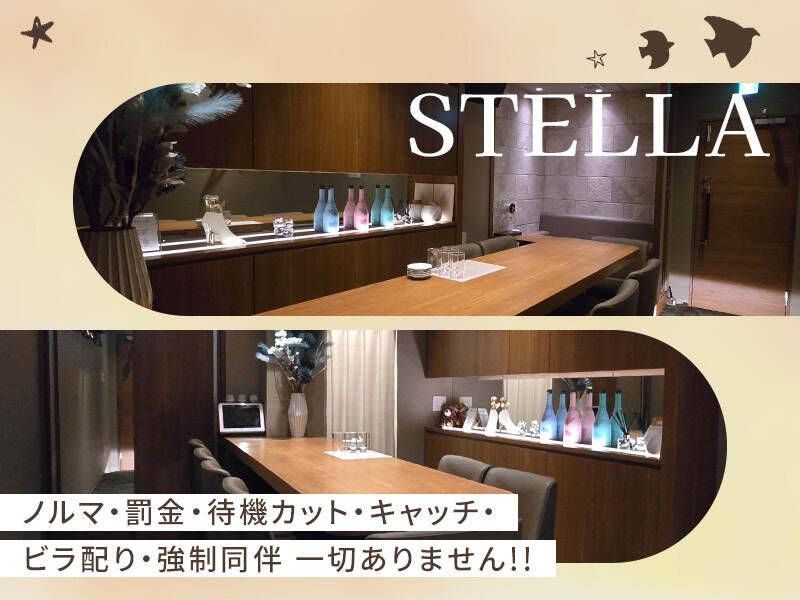 スナック STELLA(ステラ)の仕事画像3