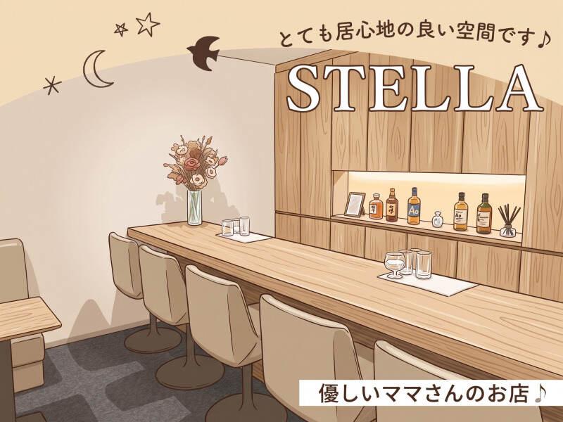 スナック STELLA(ステラ)の仕事画像2