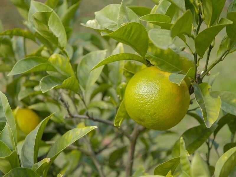 株式会社エム・アイ・エス 【001】の仕事画像3