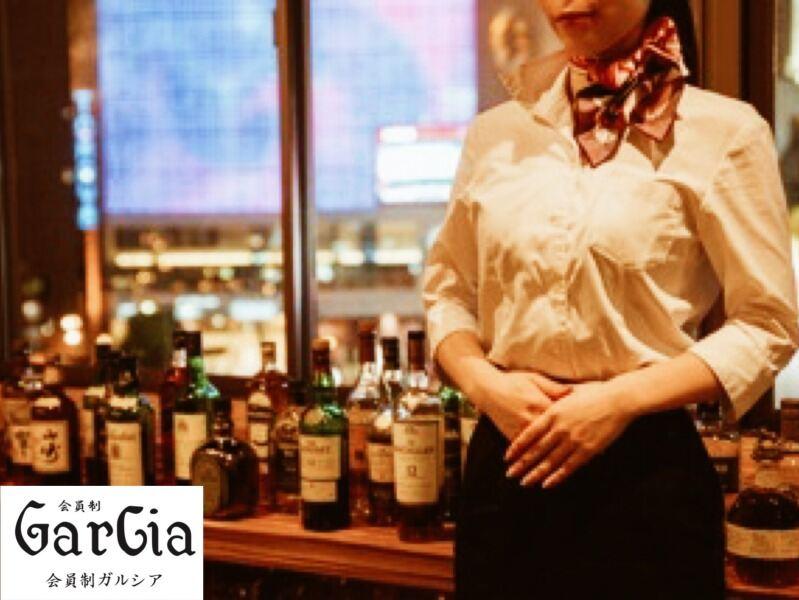 会員制ガルシアの仕事画像3