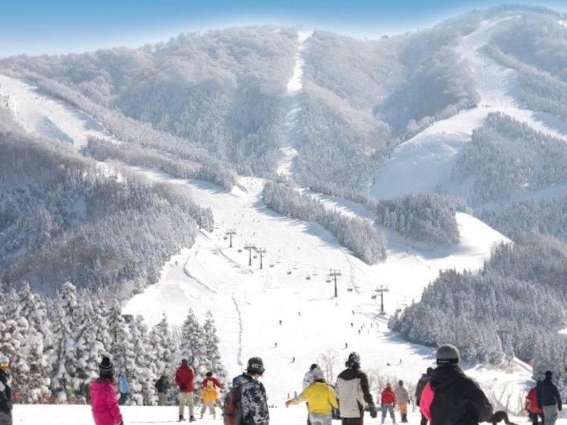 株式会社スタッフエージェント 株式会社スタッフエージェント【003】の仕事画像3