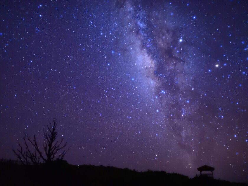 株式会社スタッフエージェント 名古屋営業所【003】の制服5