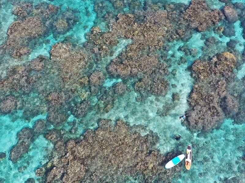 株式会社スタッフエージェント 名古屋営業所【003】の制服3