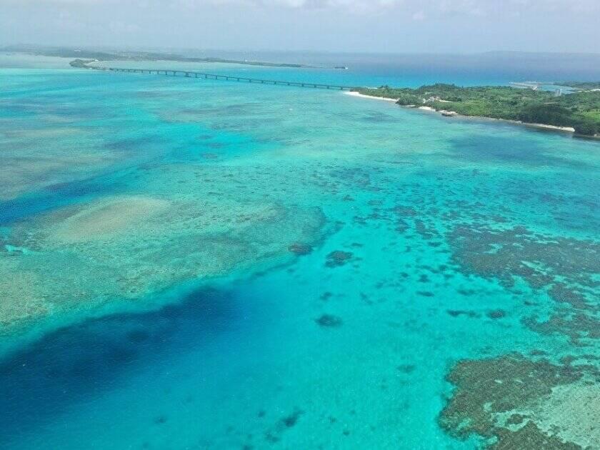 【株式会社スタッフエージェント】の制服4