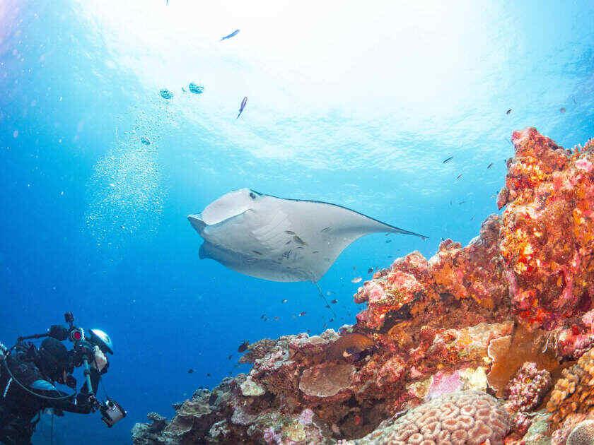 株式会社スタッフエージェント 名古屋営業所【003】の制服2