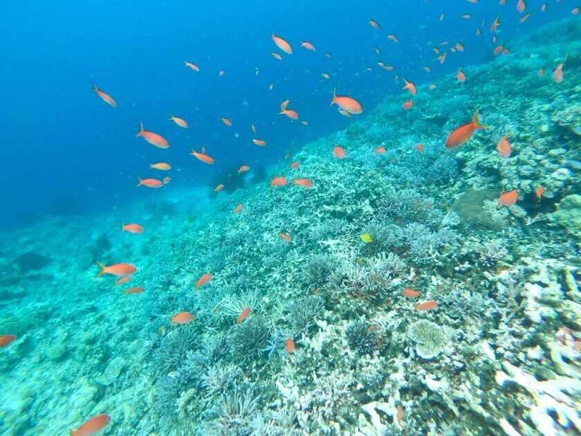 【株式会社スタッフエージェント】の制服2