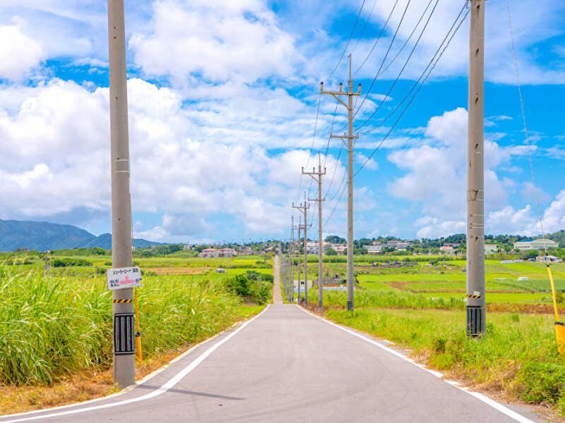寮費無料・交通費支給!のんび~り沖縄生活。の仕事画像2