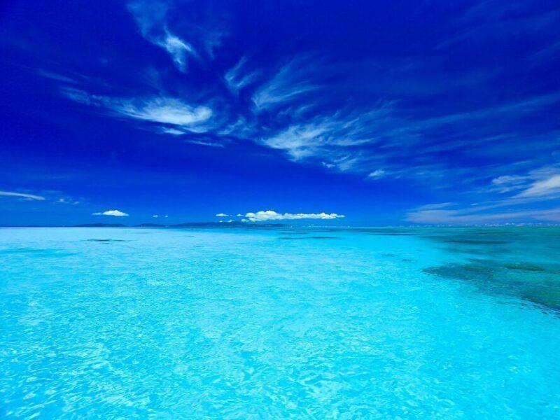 寮費無料・交通費支給!のんび~り沖縄生活。の仕事画像3