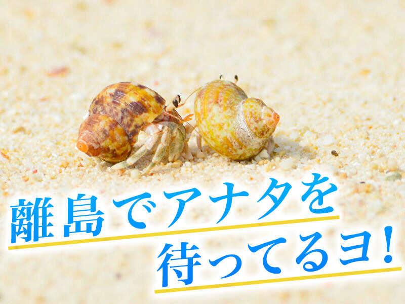 株式会社スタッフエージェント 名古屋営業所【003】の仕事画像1