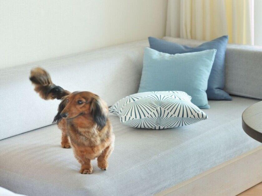 寒い季節を避けて沖縄へ!心と体をリフレッシュの制服3