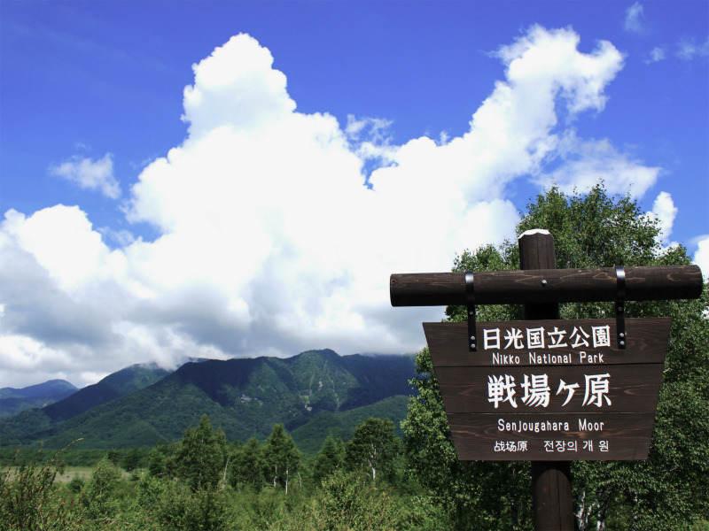 株式会社スタッフエージェント 名古屋営業所【003】の仕事画像1