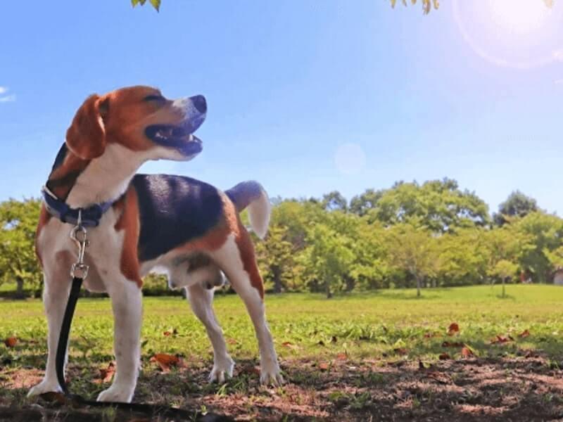 株式会社スタッフエージェント 名古屋営業所【003】の仕事画像3