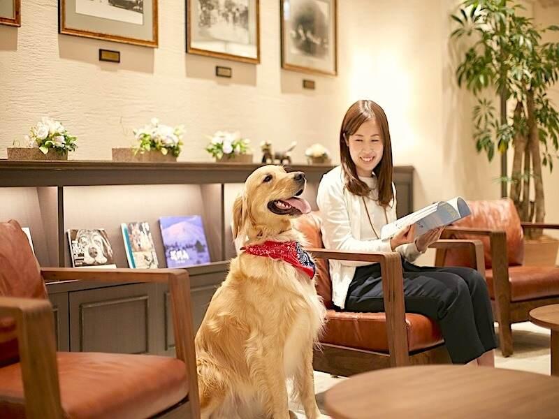 株式会社スタッフエージェント 東京営業所【003】の仕事画像1