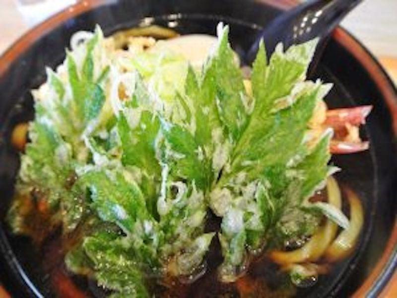 株式会社スタッフエージェント 名古屋営業所【003】の仕事画像3