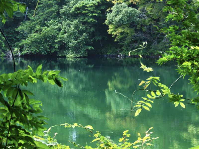 株式会社スタッフエージェント 名古屋営業所【003】の仕事画像1