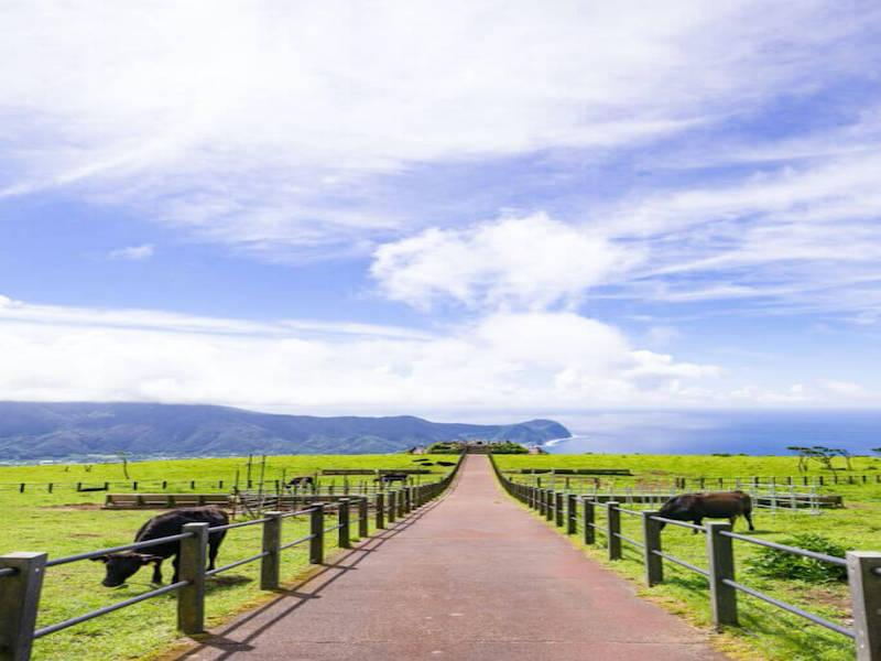株式会社スタッフエージェント 名古屋営業所【003】の仕事画像2
