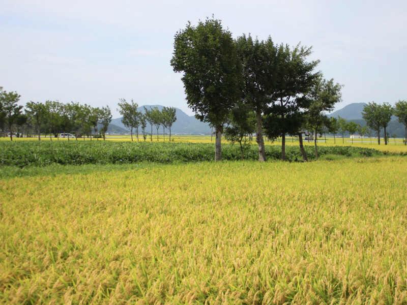 株式会社スタッフエージェント 名古屋営業所【003】の仕事画像3