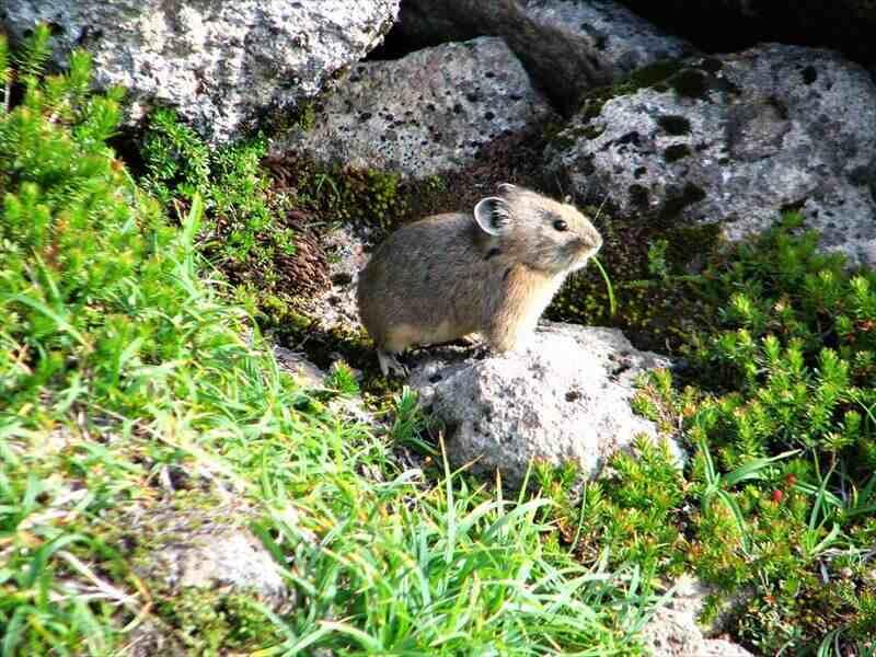 株式会社スタッフエージェント 名古屋営業所【003】の仕事画像1