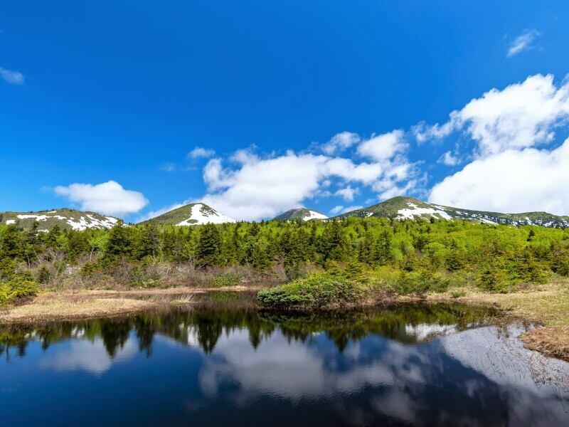 株式会社スタッフエージェント 名古屋営業所【003】の仕事画像1