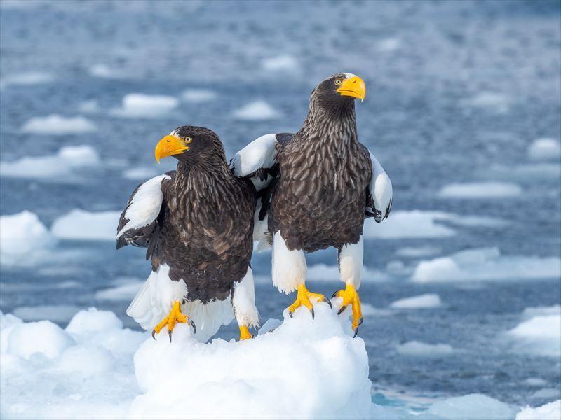 株式会社スタッフエージェント 名古屋営業所【003】の仕事画像1