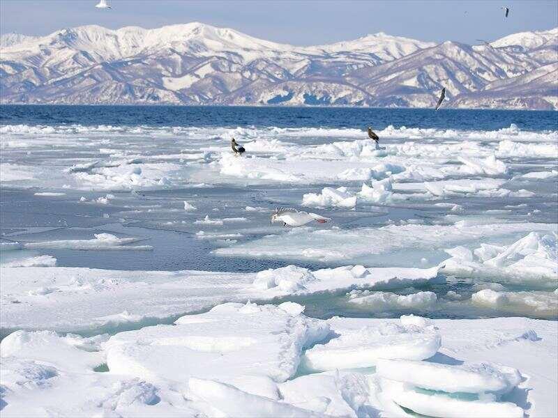 株式会社スタッフエージェント 名古屋営業所【003】の仕事画像1