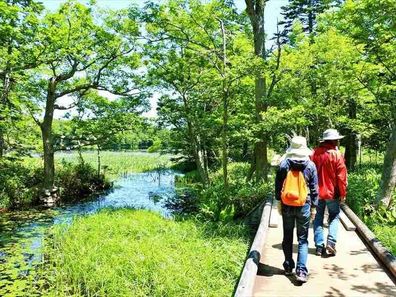 株式会社スタッフエージェント 名古屋営業所【003】の仕事画像1