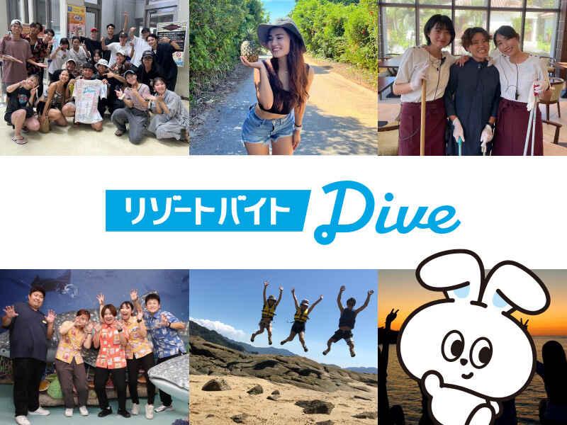 株式会社ダイブ リゾートバイトの仕事画像3