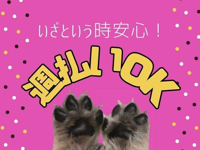 株式会社エッグヒューマンの仕事画像1