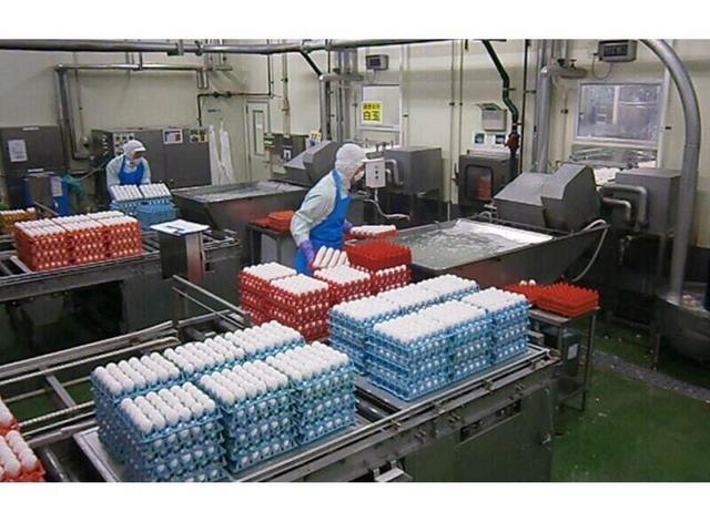 働き方が柔軟だから続けられてます。未経験◎手当充実♪食品製造(工場・製造、三戸郡階上町)のイメージ画像