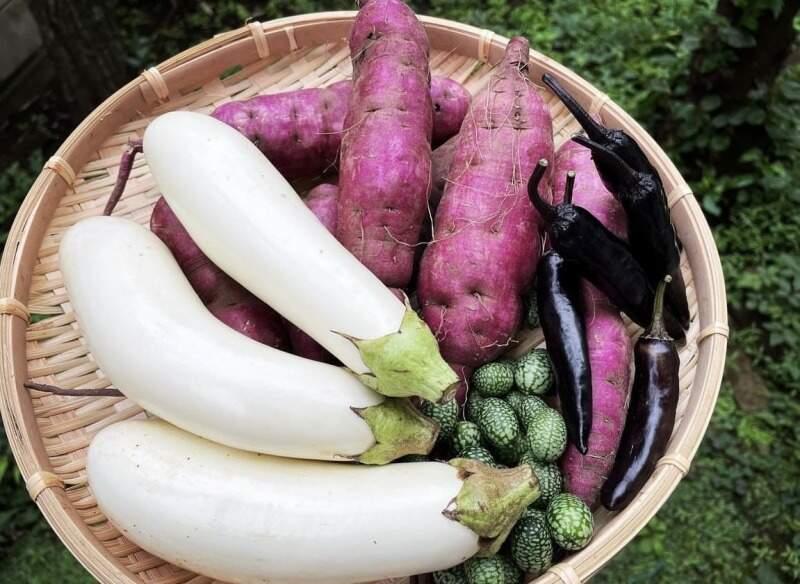 株式会社エムテック:ナツヤの仕事画像1