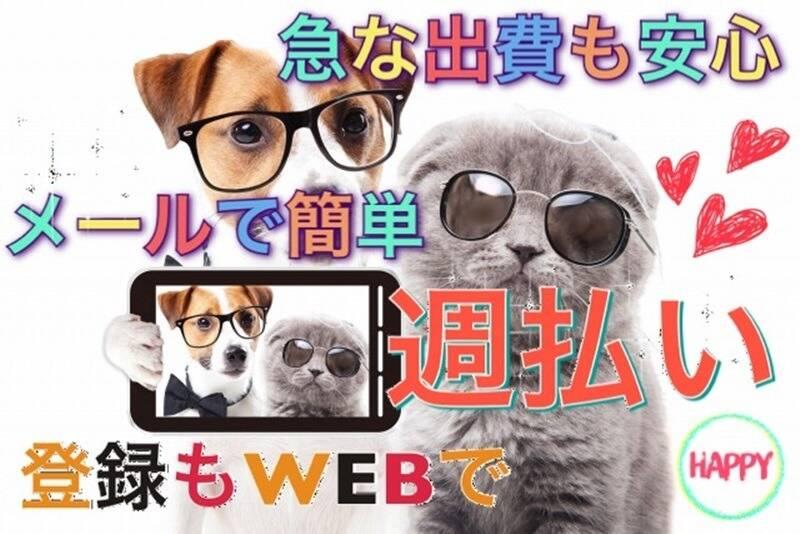 株式会社キャストステーションの仕事画像1