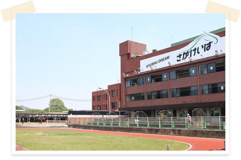 佐賀県競馬組合の仕事画像3