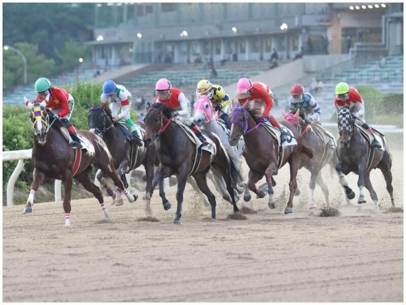 佐賀県競馬組合の仕事画像1