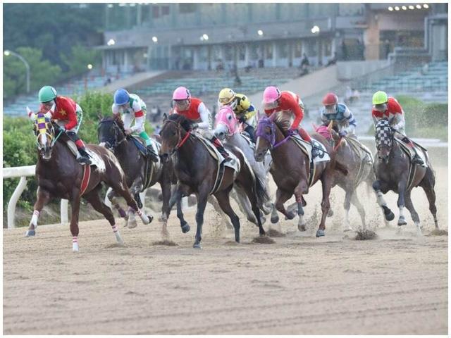 【動物好き必見】未経験◎2週に1回の給与払い◎勝ち馬の検体業務(専門職、その他、鳥栖市)のイメージ画像