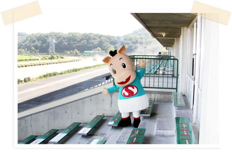 さがけいばの仕事画像3