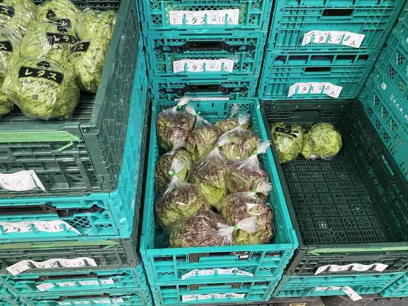 株式会社鎌田青果サービスの仕事画像3