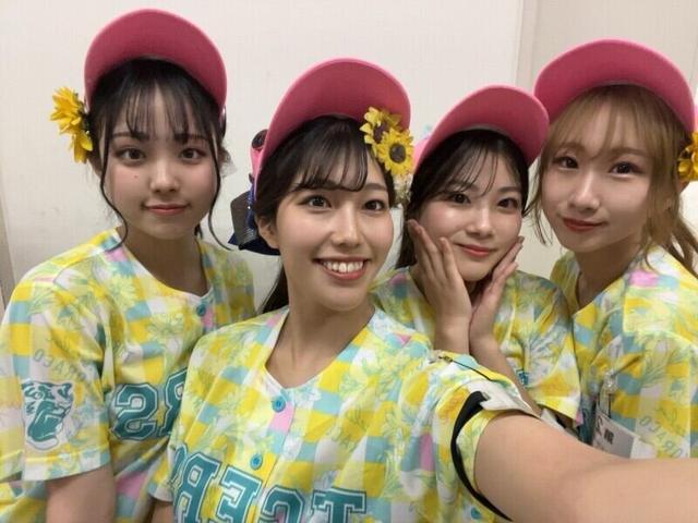 【2026年版の先行予約】甲子園ビール売り子♪大学1.2回生大歓迎(フード・飲食、西宮市)のイメージ画像