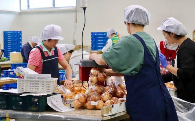 RAG東京 松戸事業所の仕事画像1